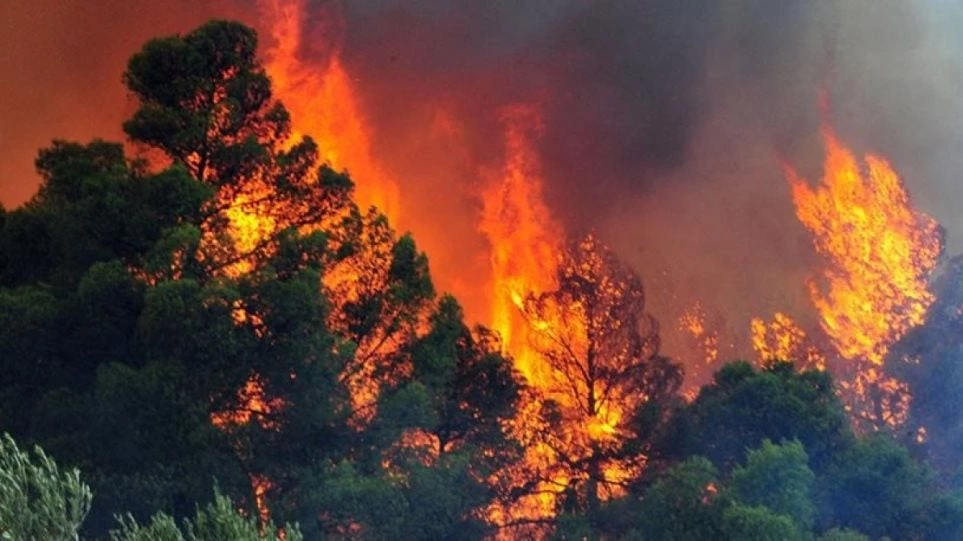 Μεγάλη φωτιά στον δήμο Ζαχάρως